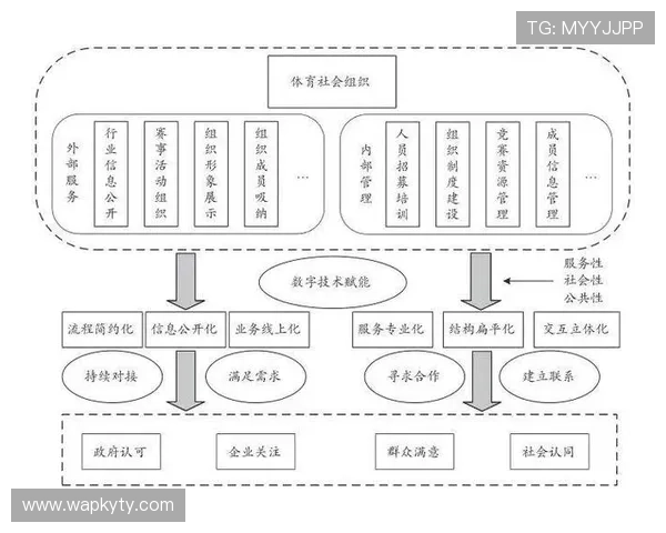PA体育：利用数字化技术提升体育赛事组织与观众体验的实践路径