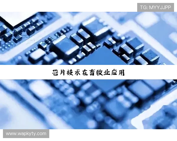 开云集团网址最新更新，确保您访问到官方最权威的官方网站