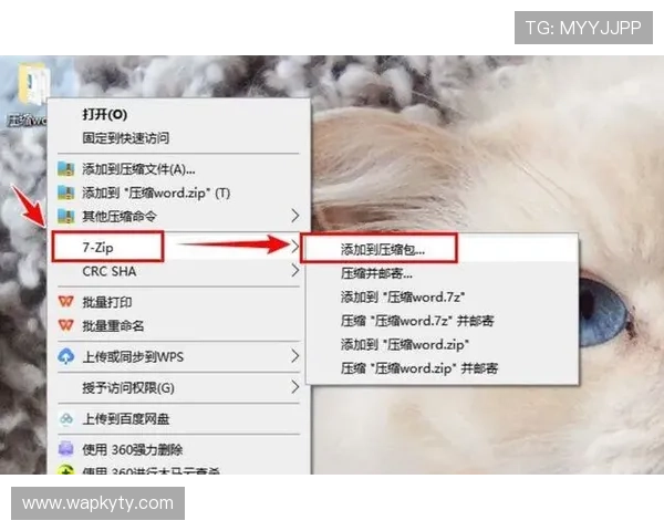 云开的网址：云开官方网站的安全访问技巧与常见问题解答
