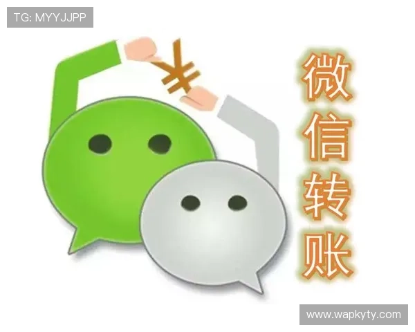 开云在线支付安全保障指南帮助玩家轻松应对支付风险与资金安全问题